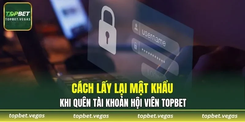 Cách lấy lại mật khẩu khi quên tài khoản