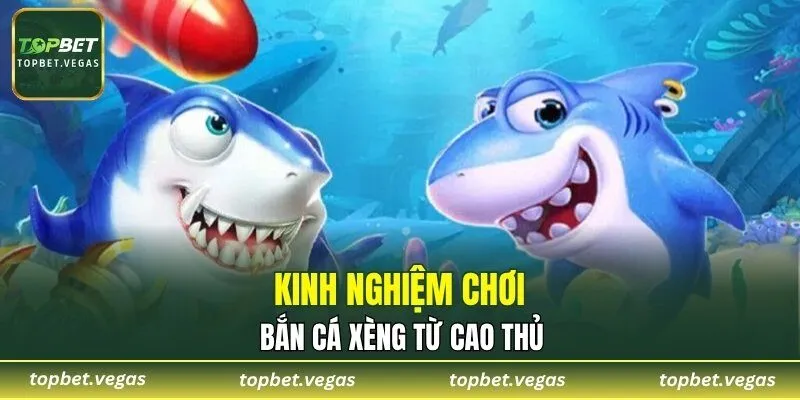 Kinh nghiệm chơi bắn cá xèng từ cao thủ