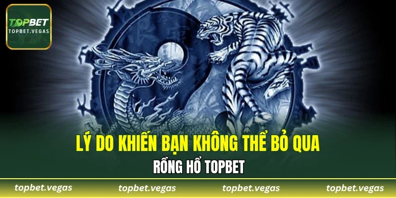 Lý do khiến bạn không thể bỏ qua rồng hổ TOPBET