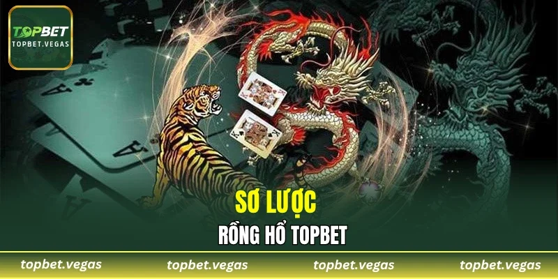 Sơ lược rồng hổ TOPBET