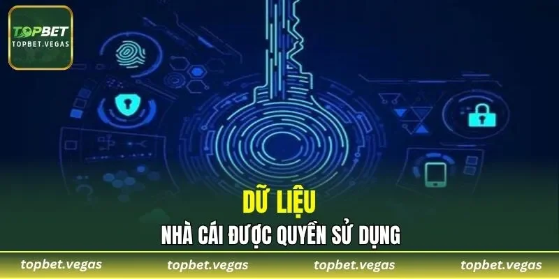 Thông tin dữ liệu được phép lưu trữ