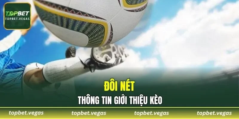 Tìm hiểu thông tin cược
